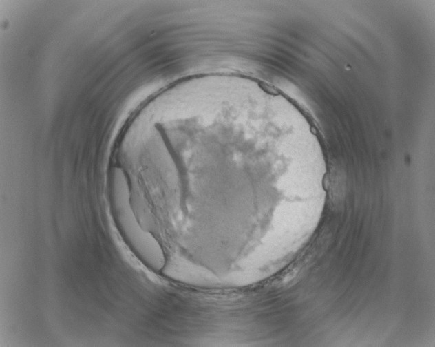 X0000064741088200603131312