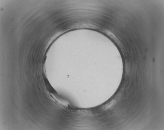 X0000064741089200603131312