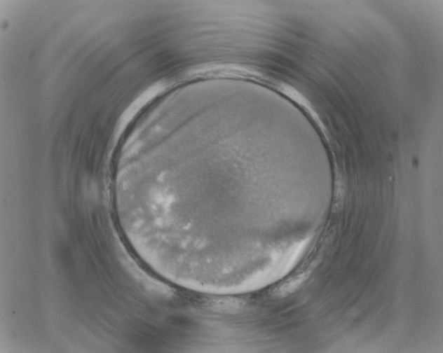 X0000064741090200603131312