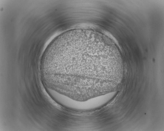 X0000064741091200603131312