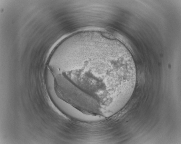 X0000064741092200603131312