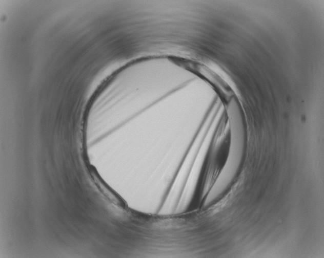 X0000064741093200603131312