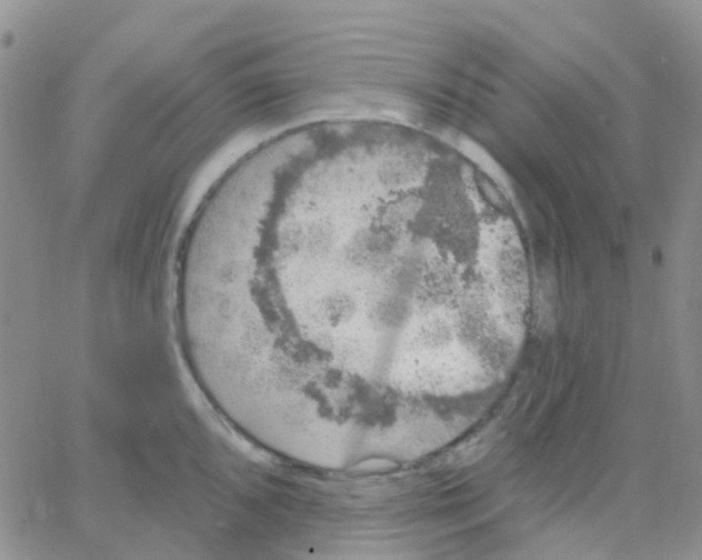 X0000064741096200603131312