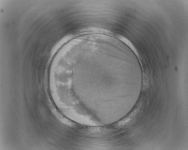 X0000064741098200603131312