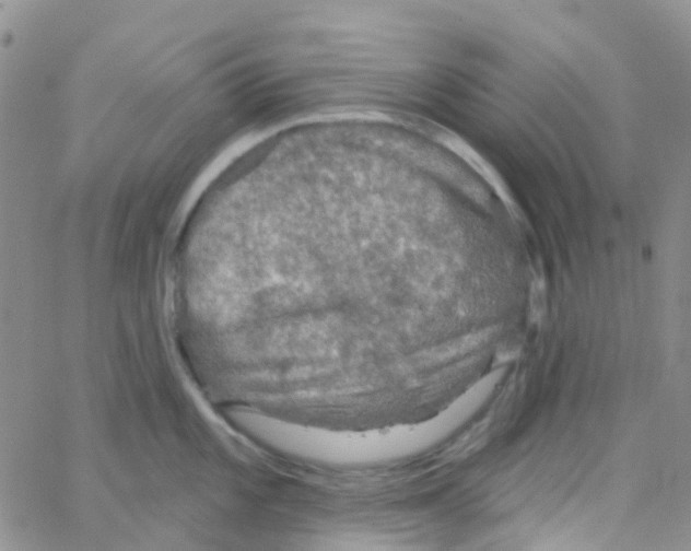 X0000064741101200603131312