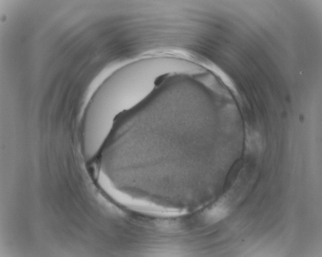 X0000064741102200603131312