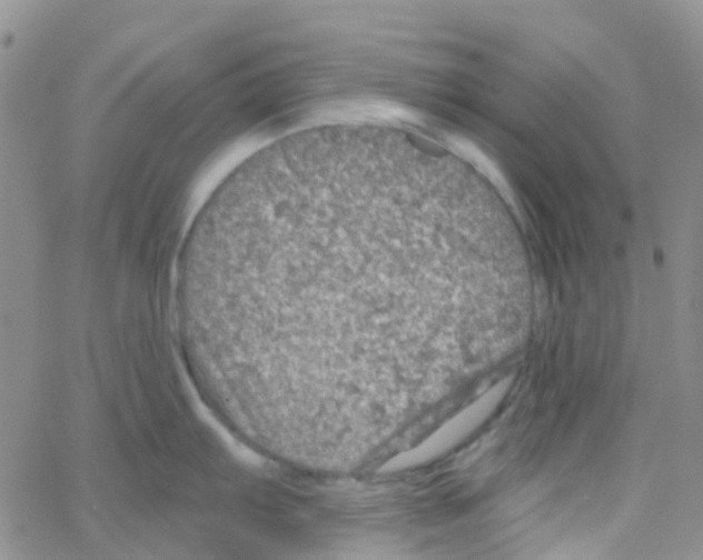 X0000064741103200603131312