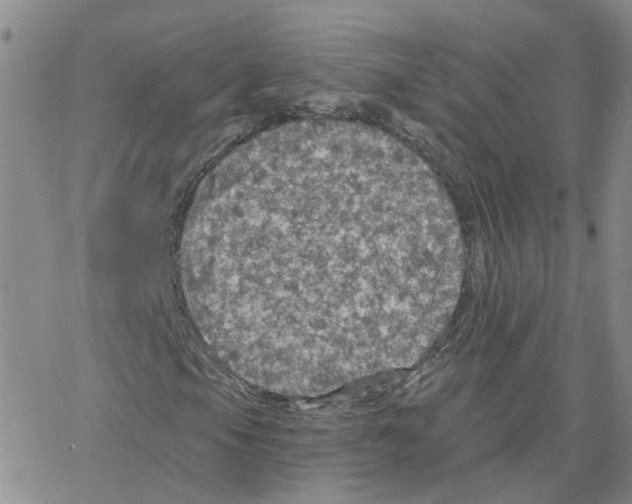 X0000064741105200603131311