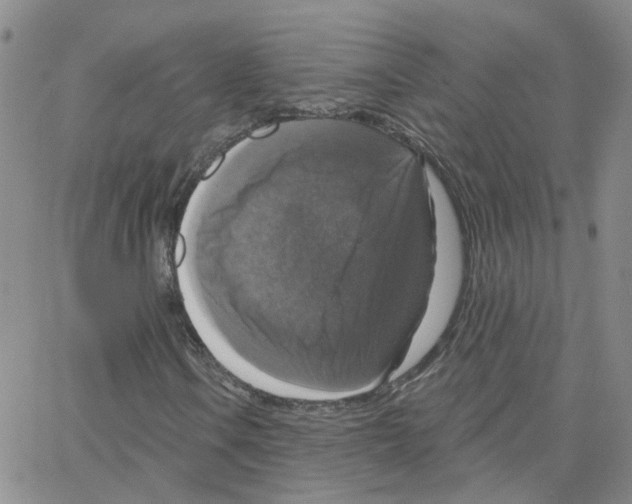 X0000064741106200603131311