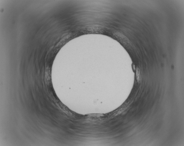 X0000064741107200603131311