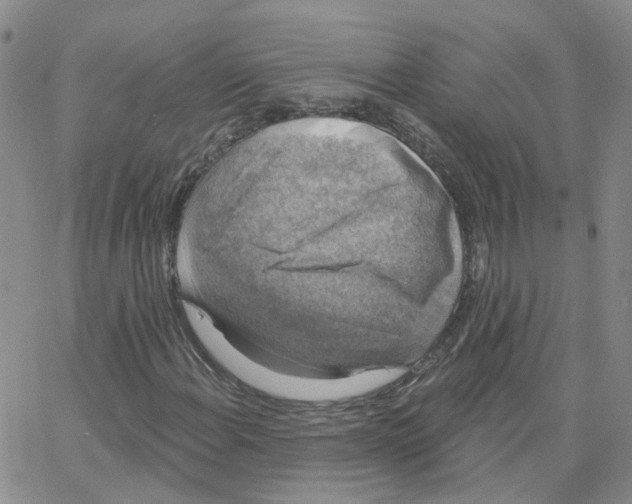 X0000064741108200603131311