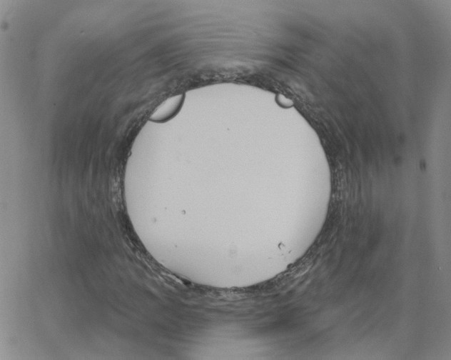 X0000064741109200603131311