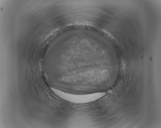 X0000064741110200603131311