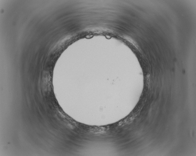 X0000064741111200603131311