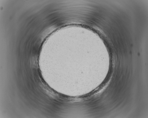 X0000064741113200603131311