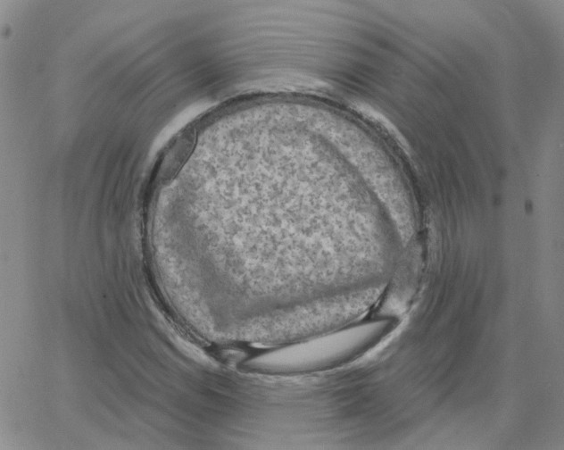 X0000064741114200603131311