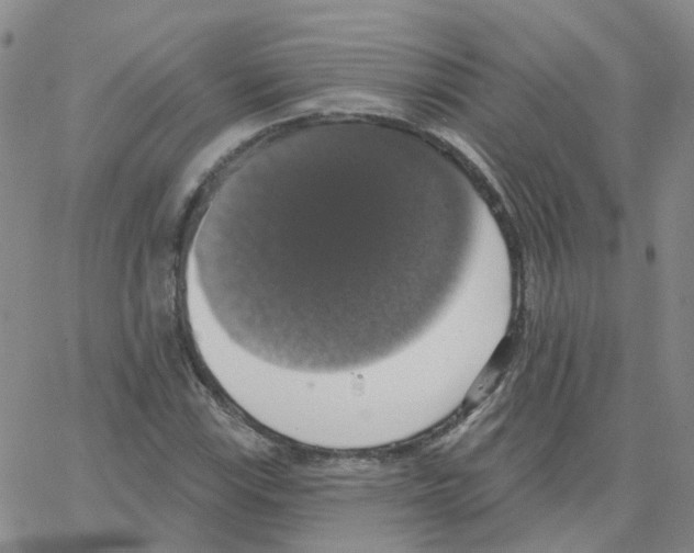 X0000064741115200603131311