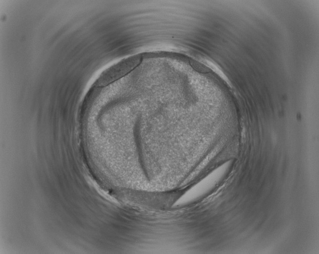 X0000064741116200603131311