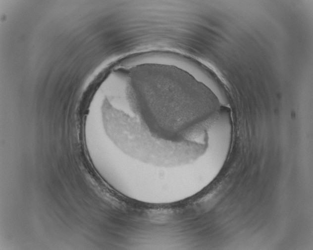 X0000064741118200603131311