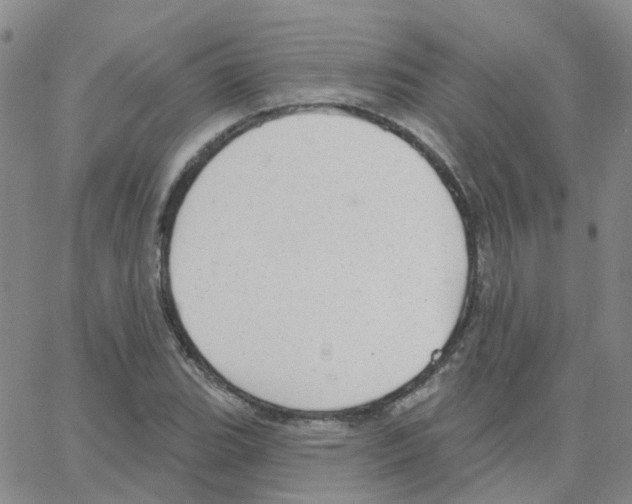 X0000064741119200603131311