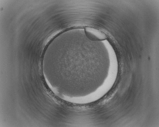 X0000064741121200603131311