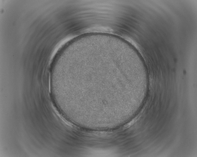 X0000064741123200603131311