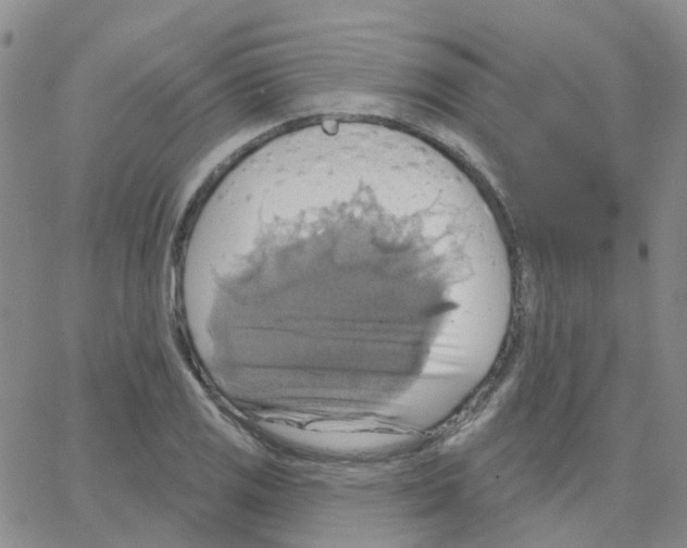 X0000064741125200603131311