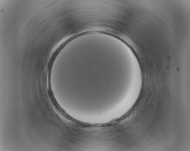 X0000064741127200603131311