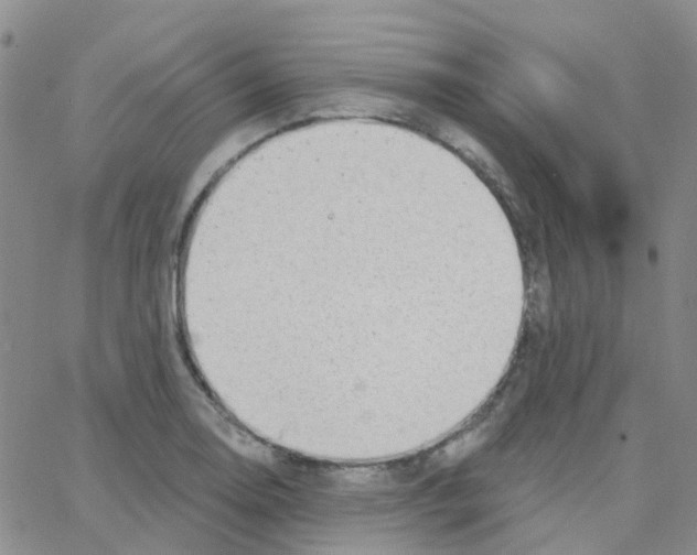 X0000064741130200603131311