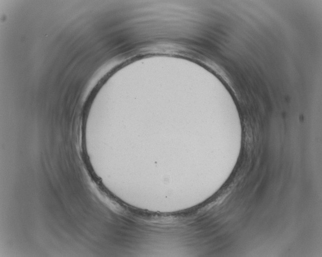 X0000064741131200603131312