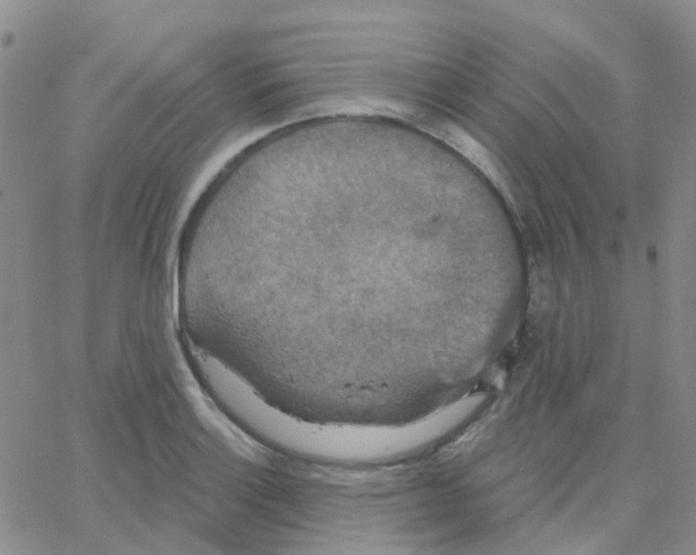 X0000064741132200603131312