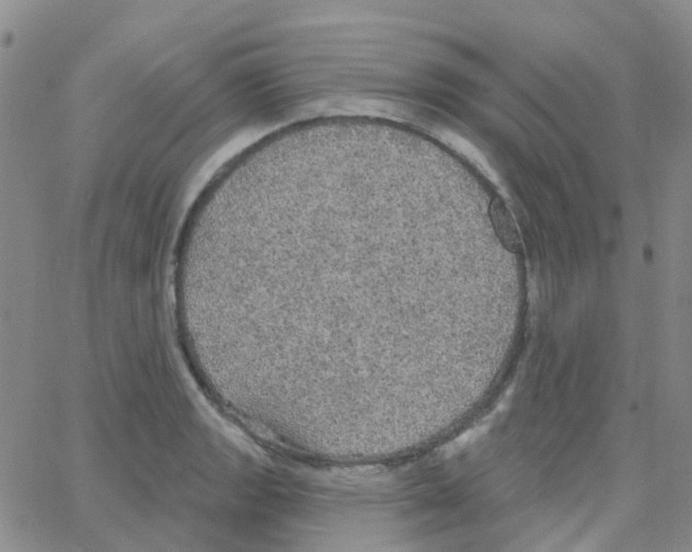 X0000064741133200603131312