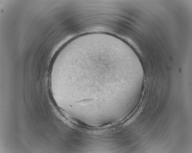 X0000064741134200603131312