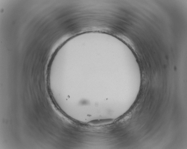 X0000064741135200603131312