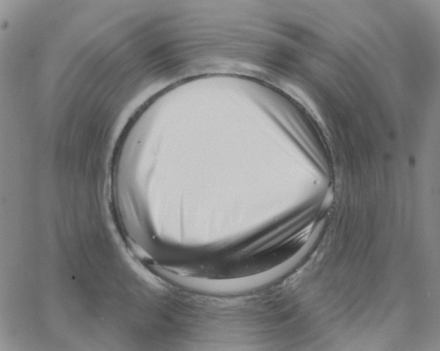 X0000064741136200603131312