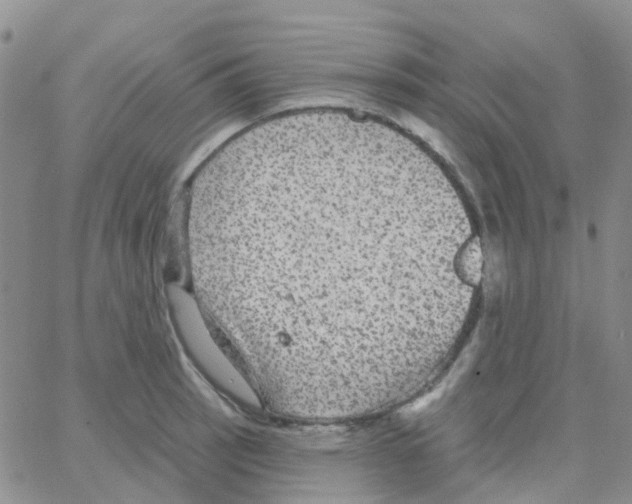 X0000064741137200603131312