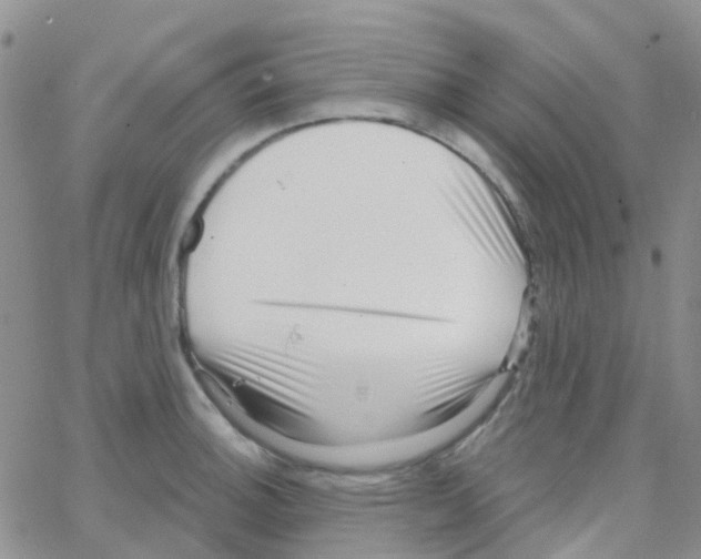 X0000064741140200603131312