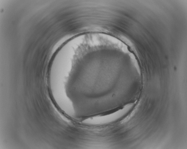 X0000064741141200603131312