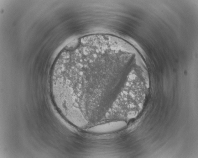 X0000064741142200603131312