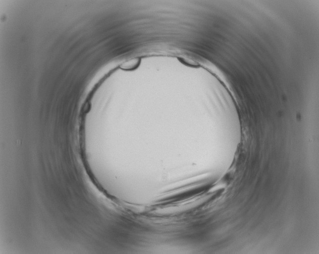 X0000064741147200603131312