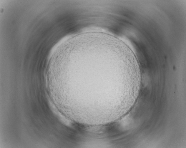 X0000064741150200603131312