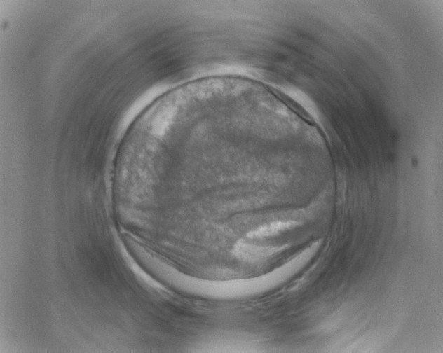 X0000064741151200603131312