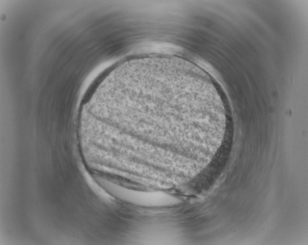 X0000064741152200603131312