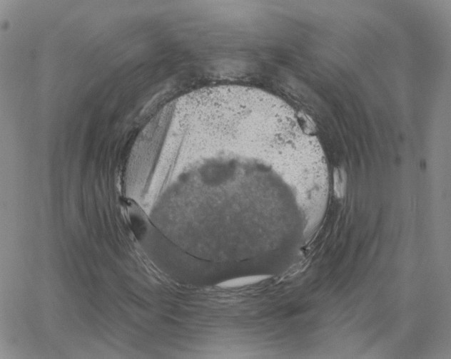 X0000064741155200603131311