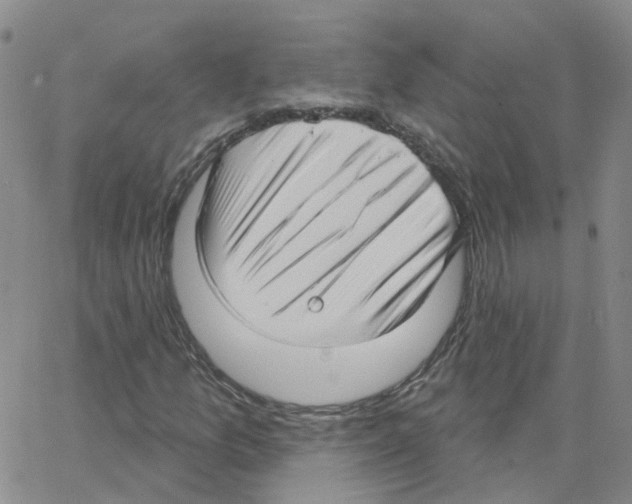 X0000064741157200603131311