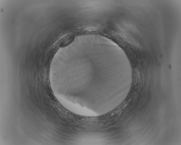 X0000064741158200603131311