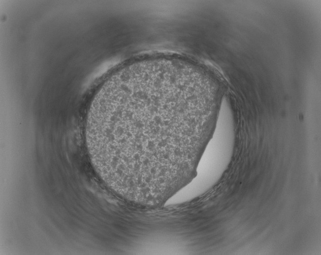 X0000064741159200603131311