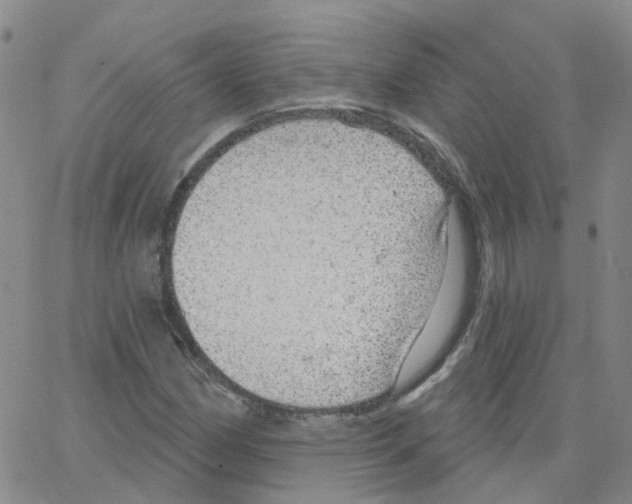 X0000064741162200603131311