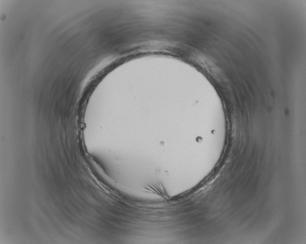 X0000064741164200603131311