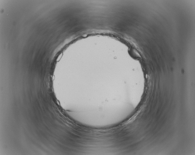 X0000064741165200603131311